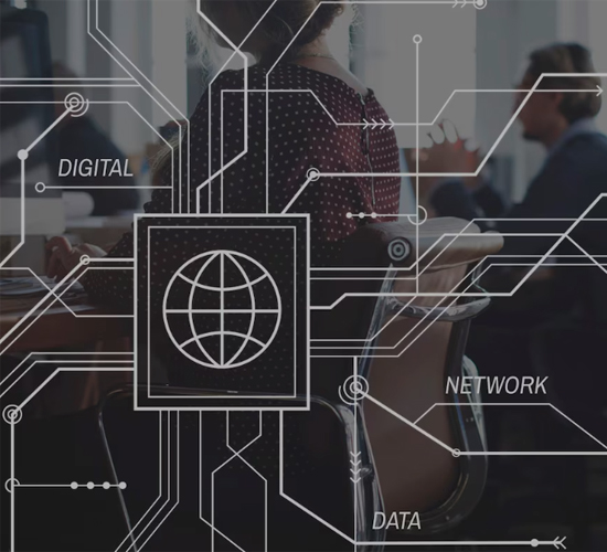 Partnership Network